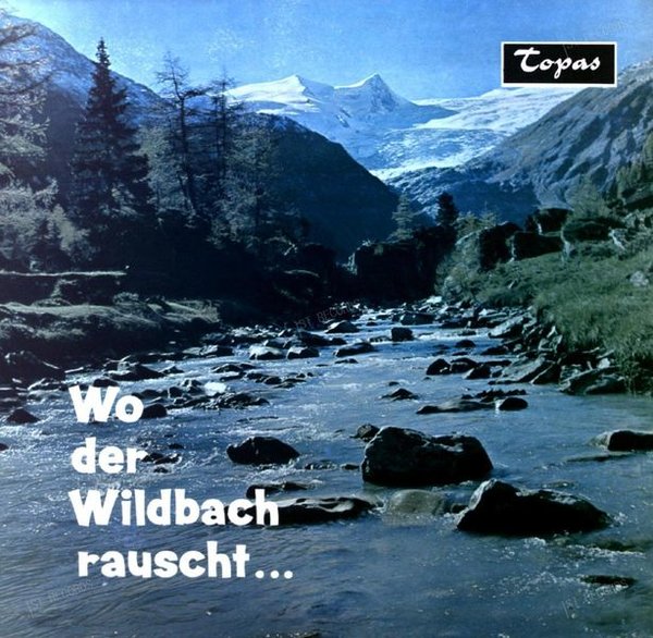 Alpenland Quintett - Wo Der Wildbach Rauscht LP (VG+/VG+) (VG+/VG+)