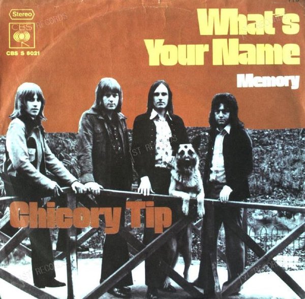 Chicory Tip - What's Your Name 7in 1972 (VG/VG)